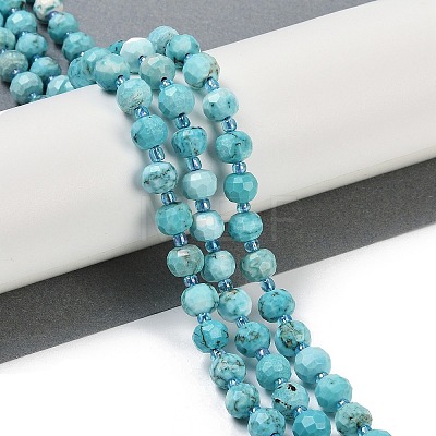 Dyed Natural Howlite Beads Strands G-H057-A18-01-1