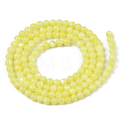 Natural Freshwater Shell Beads Strands BSHE-T009A-01H-1