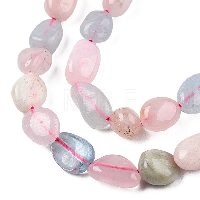 Natural Morganite Beads Strands X-G-R445-8x10-28-1
