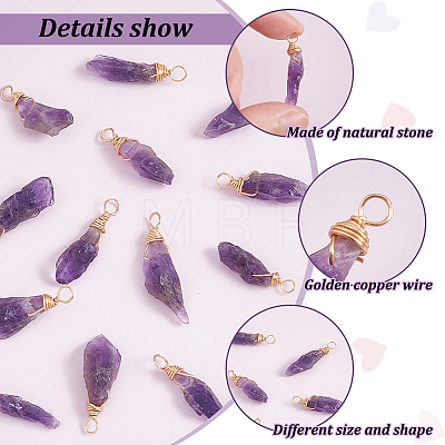16Pcs Raw Rough Natural Amethyst Copper Wire Wrapped Pendants PALLOY-AB00104-1