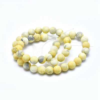 Natural Howlite Bead Strands G-I224-04B-8mm-1