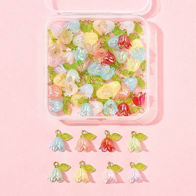 50Pcs Transparent Acrylic Pendants PALLOY-FS00043-03-1