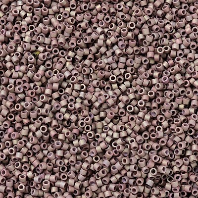 MIYUKI Delica Beads SEED-X0054-DB1061-1