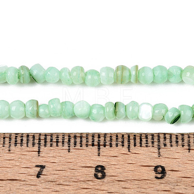 Natural Freshwater Shell Dyed Beads Strands SHEL-T020-29B-03-1