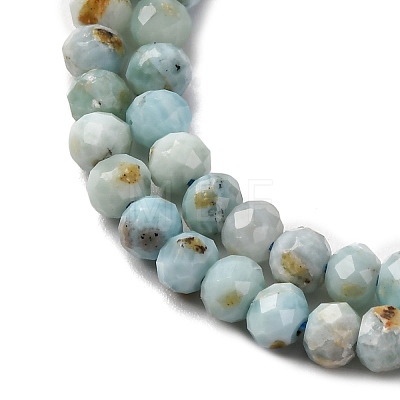 Natural Larimar Beads Strands G-F803-B01-02-1