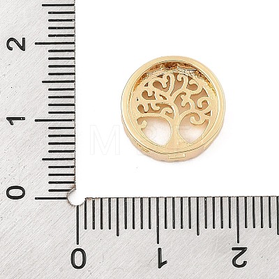 Brass Micro Pave Clear Cubic Zirconia Slide Charms ZIRC-I068-31G-1