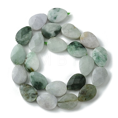 Natural Myanmar Jadeite Beads Strands G-A092-B01-03-1