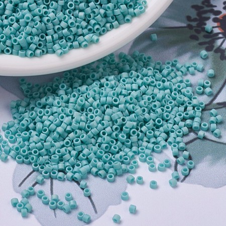 MIYUKI Delica Beads X-SEED-J020-DB0878-1