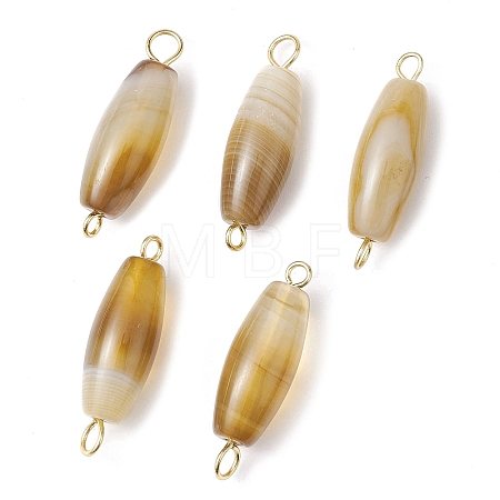 Natural Striped Agate/Banded Agate Connector Charms PALLOY-JF02454-1
