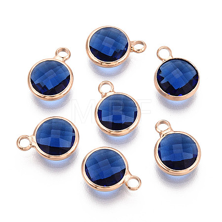 Golden Tone Brass Glass Charms GLAA-ZX008-24C-G-1