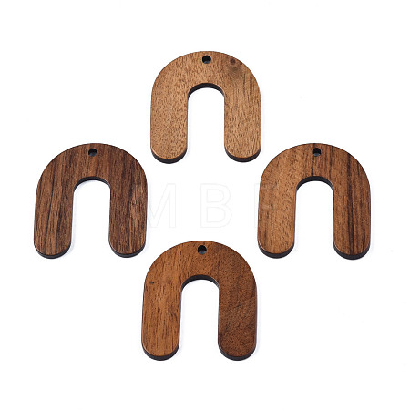 Resin & Walnut Wood Pendants WOOD-N011-008-1