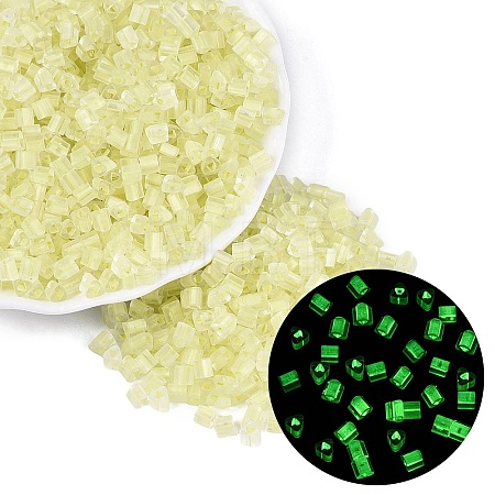 FGB Grade A Frosted Glass Seed Beads SEED-Q040-04A-11-1