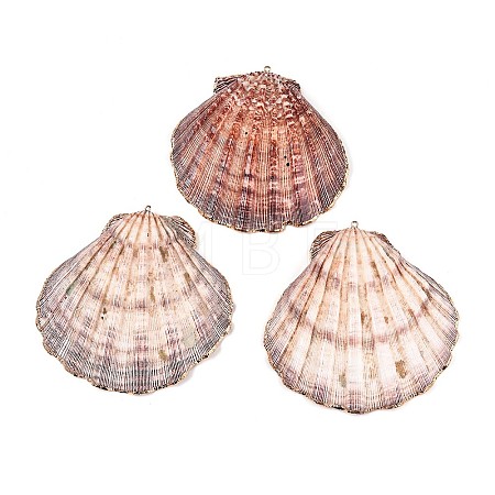 Electroplate Sea Shell Big Pendants SHEL-T012-47-1