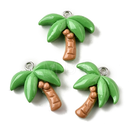 Summer Theme Resin Pendants LS-CRES-D307-09P-C-1