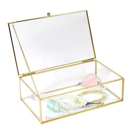 Transparent Glass Jewelry Organizer Display Cases with Metal Frame AJEW-WH0410-465A-1-1
