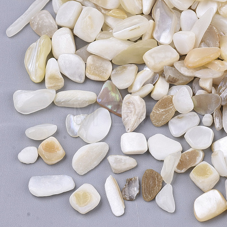 Freshwater Shell Beads X-SHEL-S266-11-1