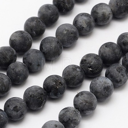 Natural Larvikite Beads Strands X-G-D692-8mm-1