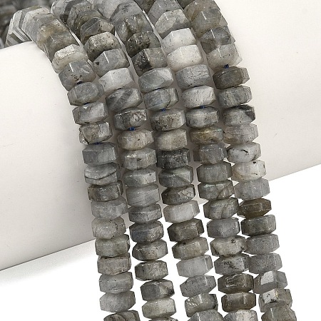Natural Labradorite Beads Strands G-L654-I05-01-1