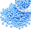 6/0 Czech Opaque Glass Seed Beads SEED-N004-003D-20-1