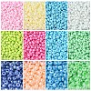 12 Colors Mixed Style Glass Seed Beads Sets SEED-YW0002-58-2