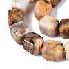Natural Crazy Agate Beads Strands G-Q608-10B-4