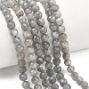 Natural Labradorite Beads Strands G-L642-F07-6mm-1