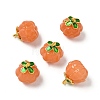 Glass Charms GLAA-P072-04G-2