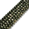 Natural Diopside Beads Strands G-R006-A01-02-1