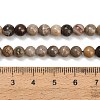 Natural Fossil Coral Beads Strands G-C288-A01-6mm-5