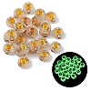 Luminous Transparent Acrylic Beads OACR-P037-01B-Q-1