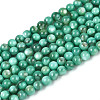 Natural Freshwater Shell Beads Strands BSHE-T009A-01J-1