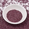 MIYUKI Delica Beads SEED-MY11-DB2308-2