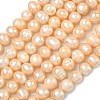 Natural Cultured Freshwater Pearl Beads Strands PEAR-L034-12E-2
