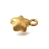 304 Stainless Steel Charms STAS-D310-06G-05-2