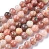 Natural Plum Blossom Jasper Beads Strands G-A163-02-6mm-4