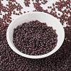 MIYUKI Round Rocailles Beads SEED-X0055-RR2400-2