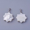 Shell Pendants SSHEL-E571-03P-1