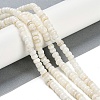 Natural Freshwater Shell  Beads Strands BSHE-H109-07-2