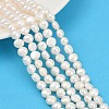 Natural Cultured Freshwater Pearl Beads Strands PEAR-P064-20B-07A-01-1