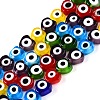 Handmade Evil Eye Lampwork Beads Strands LAMP-N024-27E-M-1