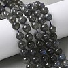 Natural Labradorite Beads Strands X-G-U017-8MM-01-1