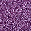 MIYUKI Delica Beads SEED-JP0008-DB2180-3