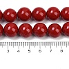 Shell Pearl Beads Strands BSHE-K015-14mm-01-4