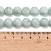 Glass Beads Strands G-L642-B18-10mm-5