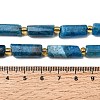 Natural Apatite Beads Strands G-D353-A02-5