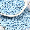 Baking Paint Glass Seed Beads SEED-B001-02A-08-1