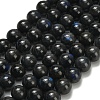 Natural Black Labradorite Beads Strands G-L642-B15-12mm-2