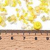 MIYUKI Seed Beads Mix Y-SEED-Z005-01I-3