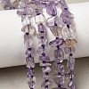 Natural Amethyst Beads Strands G-D365-E03-01-1