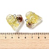 Inner Dried Flower Transparent Resin Pendants RESI-A043-03B-3